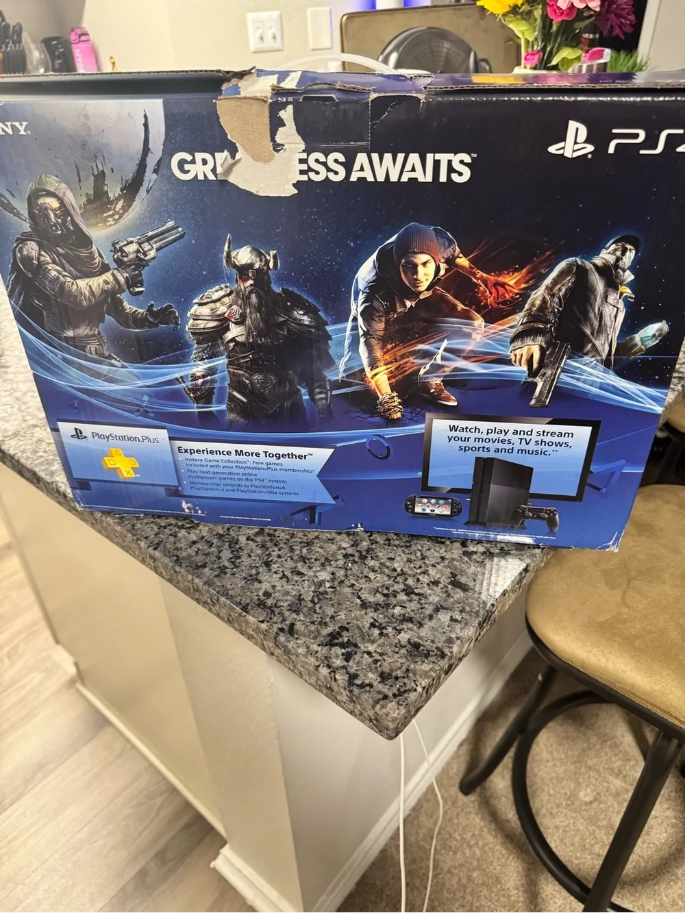 Sony PS4 Console in Jet Black with Matching Controller